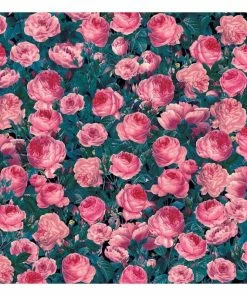 Alternative view of Promo 🥰 Cricut Infusible Ink Cabbage Rose Transfer Sheets 2 Pack 👏