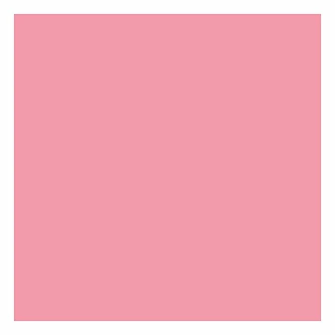 Cheapest ๐ Cricut Infusible Ink Rose Pink Transfer Sheets 2 Pack ๐ 4 Cheapest ๐ Cricut Infusible Ink Rose Pink Transfer Sheets 2 Pack ๐ - Image 2