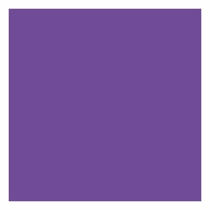Best deal ๐ Cricut Infusible Ink Ultraviolet Transfer Sheets 2 Pack ๐ 4 Best deal ๐ Cricut Infusible Ink Ultraviolet Transfer Sheets 2 Pack ๐ - Image 2