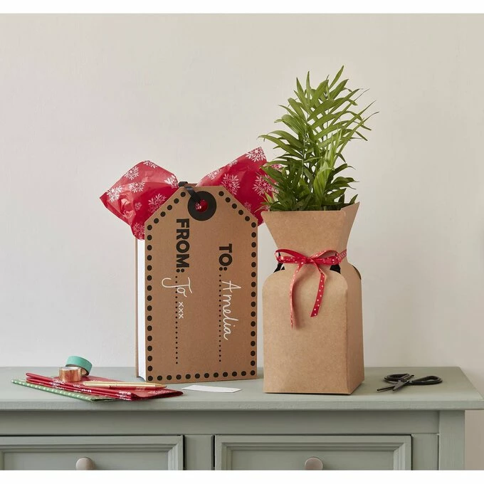 Hot Sale π€© Hobbycraft Plant Gift Boxes 2 Pack π - Image 3