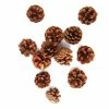 Brand new 🎉 Hobbycraft Natural Pinecones 300g ✔️ -Hobbycraft Shop 653503 1000 1 natural pinecones 300g