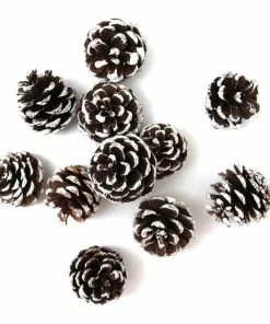 Best Sale 🛒 Hobbycraft Brushed White Pinecones 300g 🌟