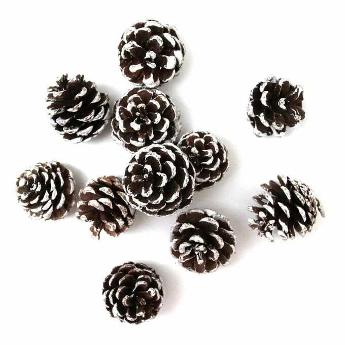 Best Sale π Hobbycraft Brushed White Pinecones 300g π 3 Best Sale π Hobbycraft Brushed White Pinecones 300g π