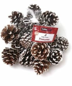 Alternative view of Best Sale 🛒 Hobbycraft Brushed White Pinecones 300g 🌟
