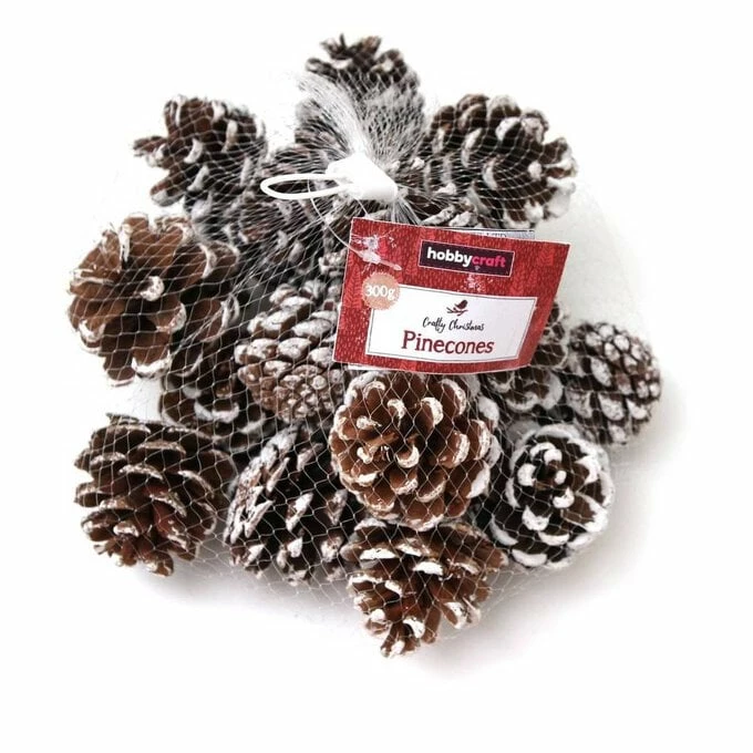 Best Sale π Hobbycraft Brushed White Pinecones 300g π 4 Best Sale π Hobbycraft Brushed White Pinecones 300g π - Image 2