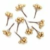 Best deal 🔔 Hobbycraft Gold Berry Picks 81 Pieces ✨ -Hobbycraft Shop 653506 1000 1 gold berry picks 81 pieces