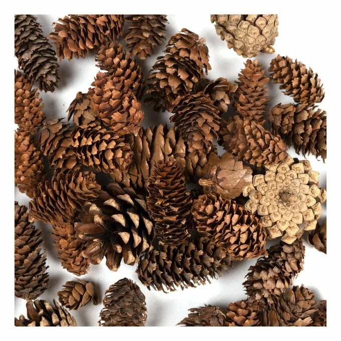 Top 10 π― Hobbycraft Star And Tree Wreath Accessories 145g 𧨠4 Top 10 π― Hobbycraft Star And Tree Wreath Accessories 145g 𧨠- Image 2