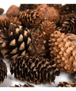 Top 10 π― Hobbycraft Star And Tree Wreath Accessories 145g 𧨠9 Top 10 π― Hobbycraft Star And Tree Wreath Accessories 145g 𧨠-Hobbycraft Shop 653509 1000 4 christmas wreath accessory kit fir cones star tree