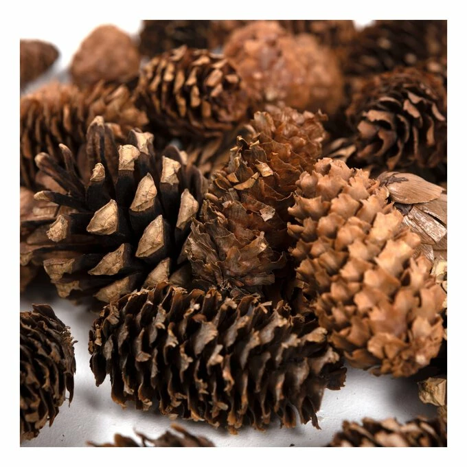 Top 10 π― Hobbycraft Star And Tree Wreath Accessories 145g 𧨠6 Top 10 π― Hobbycraft Star And Tree Wreath Accessories 145g 𧨠- Image 4