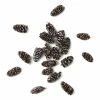 Cheapest β€οΈ Hobbycraft Mini Fir Cones 18g π₯° 2 Cheapest β€οΈ Hobbycraft Mini Fir Cones 18g π₯° -Hobbycraft Shop 653679 1000 1 mini fir cones 18g