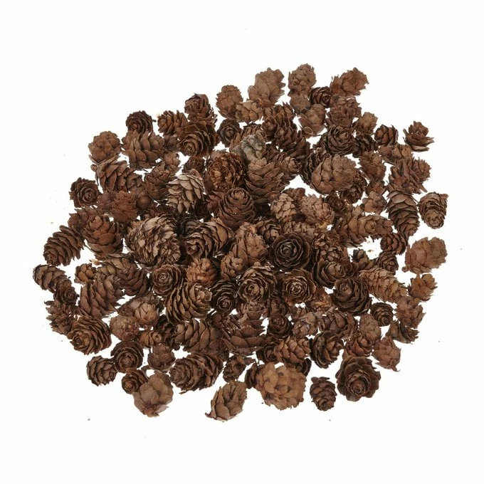 Cheapest 𧨠Hobbycraft Natural Pinecones 100g π 3 Cheapest 𧨠Hobbycraft Natural Pinecones 100g π