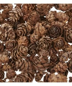 Cheapest 𧨠Hobbycraft Natural Pinecones 100g π 6 Cheapest 𧨠Hobbycraft Natural Pinecones 100g π -Hobbycraft Shop 653733 1000 2 christmas mini pinecones