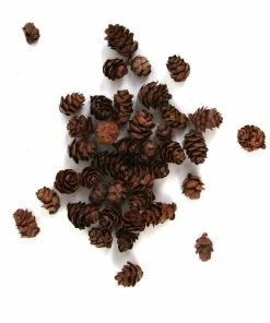 Coupon ✔️ Hobbycraft Natural Pinecones 110g 🎉