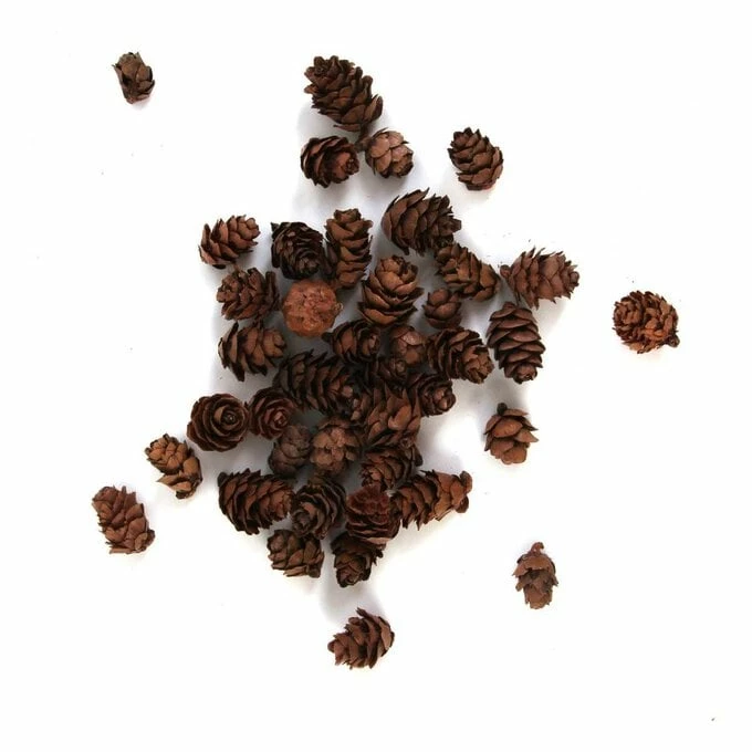 Coupon βοΈ Hobbycraft Natural Pinecones 110g π 3 Coupon βοΈ Hobbycraft Natural Pinecones 110g π