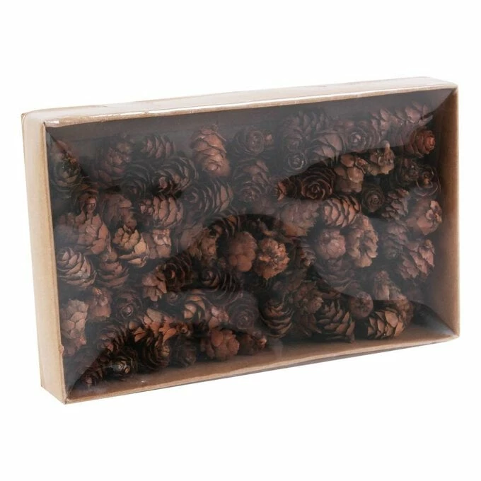 Coupon βοΈ Hobbycraft Natural Pinecones 110g π 4 Coupon βοΈ Hobbycraft Natural Pinecones 110g π - Image 2