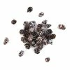 Wholesale ๐ Hobbycraft White-Washed Pinecones 110g ๐ 2 Wholesale ๐ Hobbycraft White-Washed Pinecones 110g ๐ -Hobbycraft Shop 653789 1000 1 white washed pinecones 110g