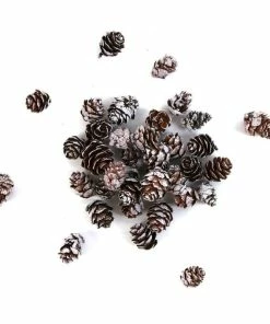 Wholesale 🎉 Hobbycraft White-Washed Pinecones 110g 👏