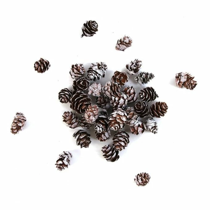 Wholesale π Hobbycraft White-Washed Pinecones 110g π 3 Wholesale π Hobbycraft White-Washed Pinecones 110g π