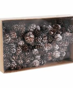 Alternative view of Wholesale 🎉 Hobbycraft White-Washed Pinecones 110g 👏