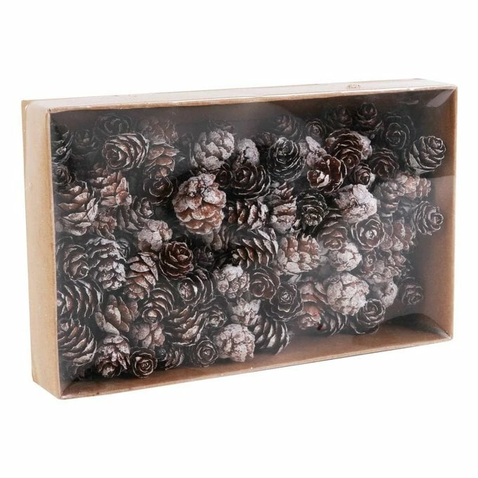Wholesale π Hobbycraft White-Washed Pinecones 110g π 4 Wholesale π Hobbycraft White-Washed Pinecones 110g π - Image 2