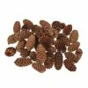 Deals 😍 Hobbycraft Pinecones 200g 👍 -Hobbycraft Shop 653831 1000 1 christmas pinecones
