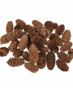 Deals 😍 Hobbycraft Pinecones 200g 👍
