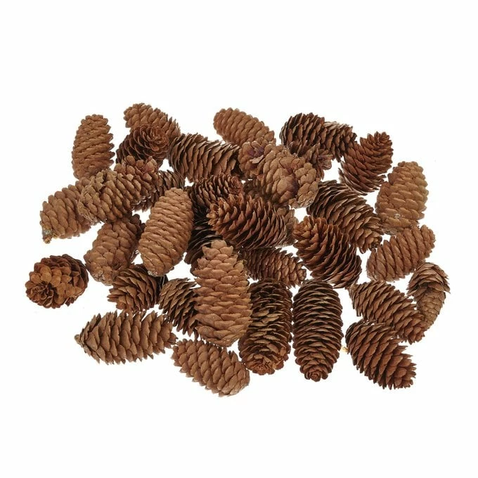 Deals 😍 Hobbycraft Pinecones 200g 👍