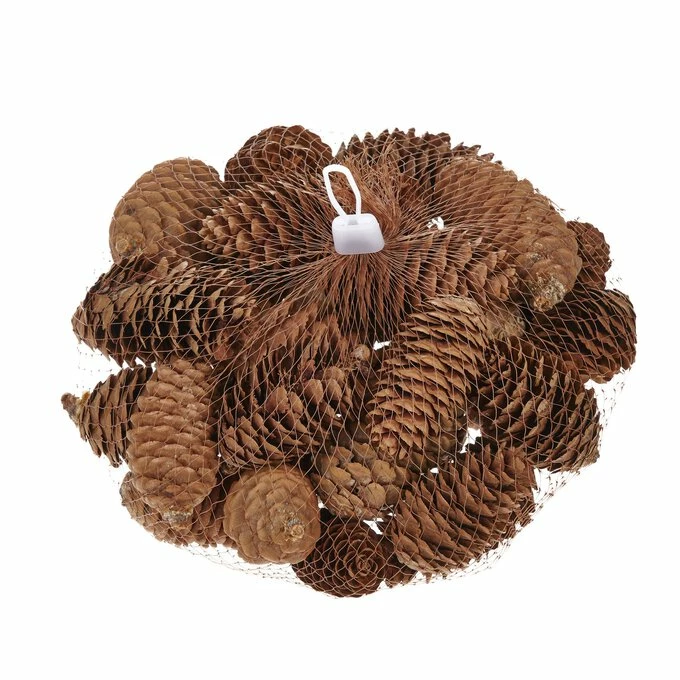 Deals 😍 Hobbycraft Pinecones 200g 👍 - Image 3