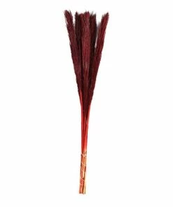 New ✔️ Hobbycraft Burgundy Nanal Grass 72cm 😉