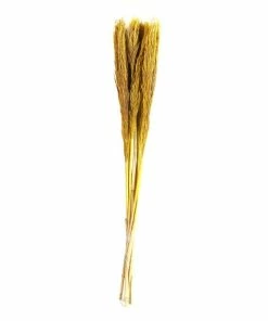 Best Pirce 😍 Hobbycraft Yellow Nanal Grass 72cm ⌛