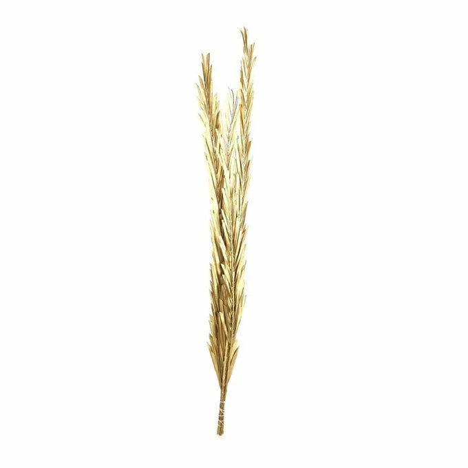 Discount ๐ Hobbycraft Gold Canna Leaves 100cm ๐ 3 Discount ๐ Hobbycraft Gold Canna Leaves 100cm ๐
