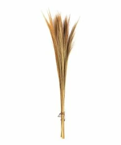 Cheapest 😍 Hobbycraft Biscotti Broom Grass Bunch 100cm 👍