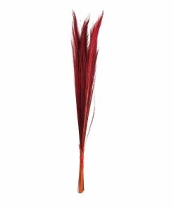 Flash Sale ✔️ Hobbycraft Red Broom Grass Bunch 100cm 😍