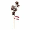 Cheap 🔔 Hobbycraft Frosted Fir Cone Pick 40cm ⭐ -Hobbycraft Shop 658725 1000 1 christmas frosted fir cone pick 800