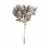 Cheapest ๐ Hobbycraft Multi Fir Cone Pick 15cm ๐ฅฐ 1 Cheapest ๐ Hobbycraft Multi Fir Cone Pick 15cm ๐ฅฐ -Hobbycraft Shop 659021 1000 1 Small Fir Cone Pick Christmas