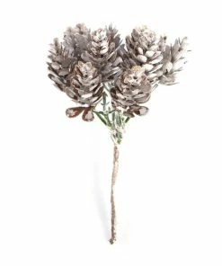 Cheapest 🌟 Hobbycraft Multi Fir Cone Pick 15cm 🥰