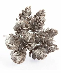 Alternative view of Cheapest 🌟 Hobbycraft Multi Fir Cone Pick 15cm 🥰