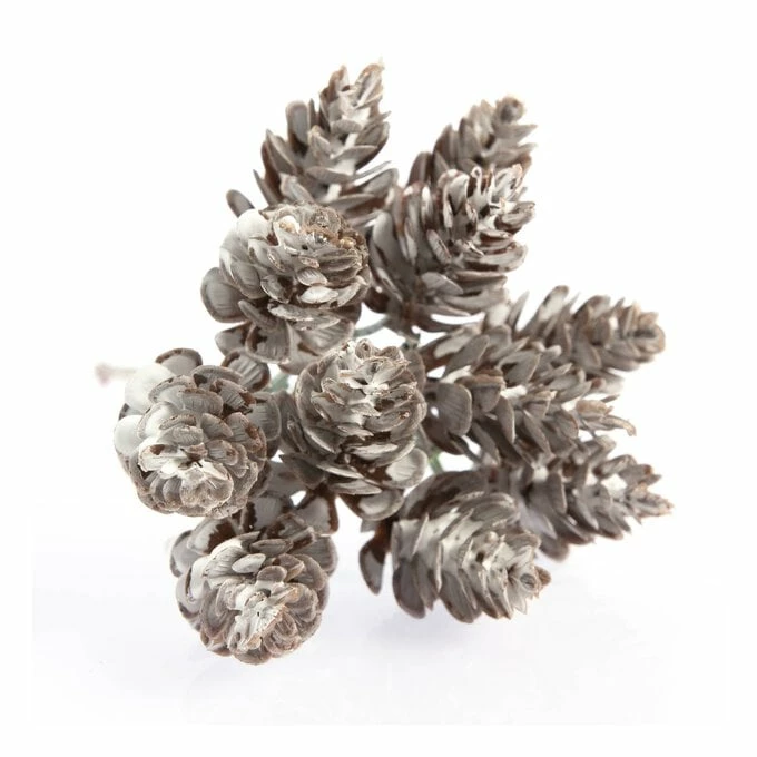 Cheapest π Hobbycraft Multi Fir Cone Pick 15cm π₯° 4 Cheapest π Hobbycraft Multi Fir Cone Pick 15cm π₯° - Image 2