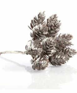 Cheapest π Hobbycraft Multi Fir Cone Pick 15cm π₯° 7 Cheapest π Hobbycraft Multi Fir Cone Pick 15cm π₯° -Hobbycraft Shop 659021 1000 3 Small Fir Cone Pick Christmas