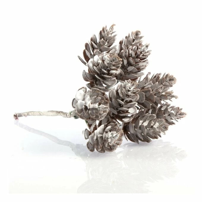 Cheapest π Hobbycraft Multi Fir Cone Pick 15cm π₯° 5 Cheapest π Hobbycraft Multi Fir Cone Pick 15cm π₯° - Image 3