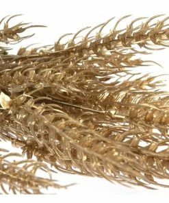 Discount 🛒 Hobbycraft Gold Barley Pick 36cm ✨ -Hobbycraft Shop 659026 1000 4 Gold Christmas Barley Pick
