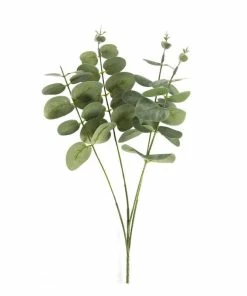 Promo ✔️ Hobbycraft Eucalyptus Stem 50cm 🔔