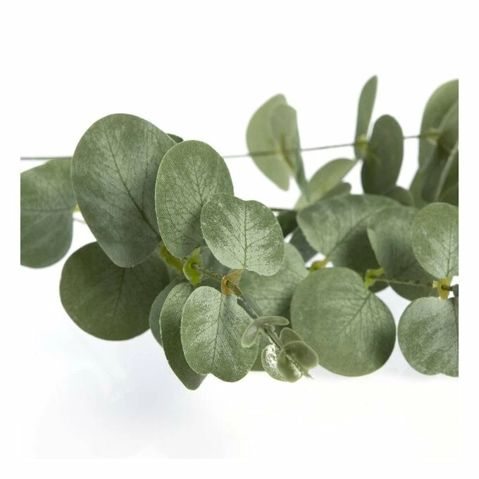 Promo βοΈ Hobbycraft Eucalyptus Stem 50cm π - Image 2