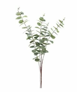 Best deal 🌟 Hobbycraft Eucalyptus Stem 1m 👍