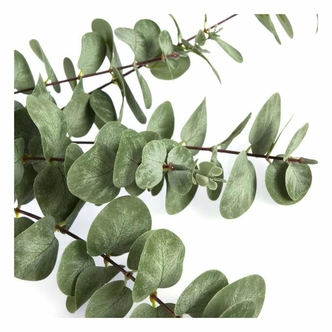 Best deal 🌟 Hobbycraft Eucalyptus Stem 1m 👍 - Image 2