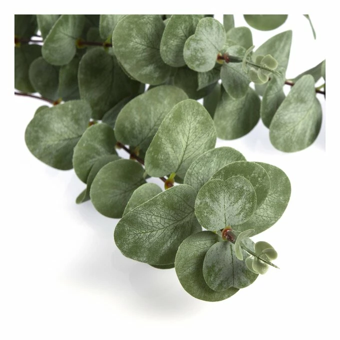 Best deal 🌟 Hobbycraft Eucalyptus Stem 1m 👍 - Image 4