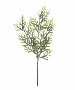 Discount 🎉 Hobbycraft Tall Spruce Stem 74cm ⌛