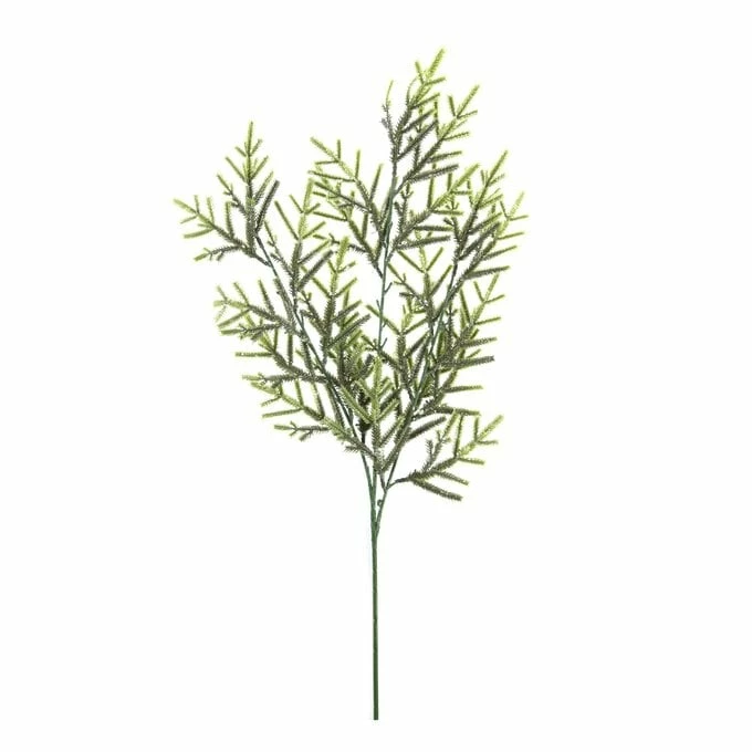 Discount 🎉 Hobbycraft Tall Spruce Stem 74cm ⌛ 3 Discount 🎉 Hobbycraft Tall Spruce Stem 74cm ⌛