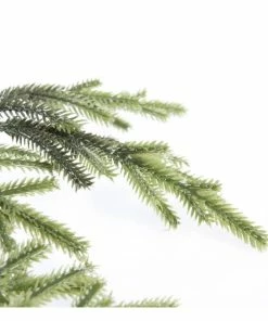 Alternative view of Discount 🎉 Hobbycraft Tall Spruce Stem 74cm ⌛