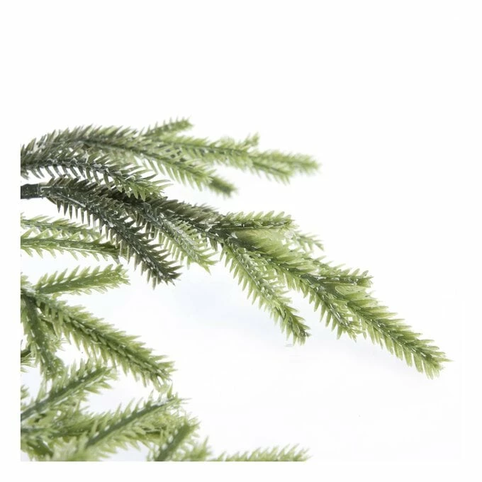 Discount 🎉 Hobbycraft Tall Spruce Stem 74cm ⌛ 4 Discount 🎉 Hobbycraft Tall Spruce Stem 74cm ⌛ - Image 2